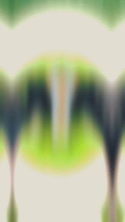 Rolex Premium Skeleton Dial(Automatic)